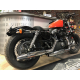 Sportster Forty Eight